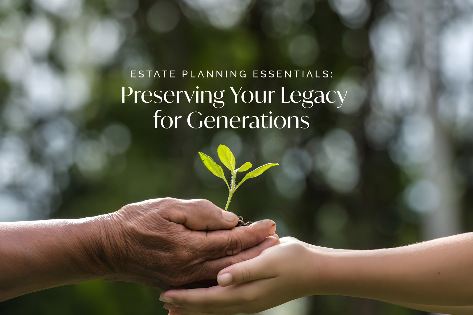 Wealth and asset protection strategies